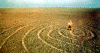 nasca7.gif (38929 bytes)