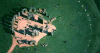 pic10002.gif (39346 bytes)