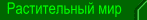 Растительный мир
